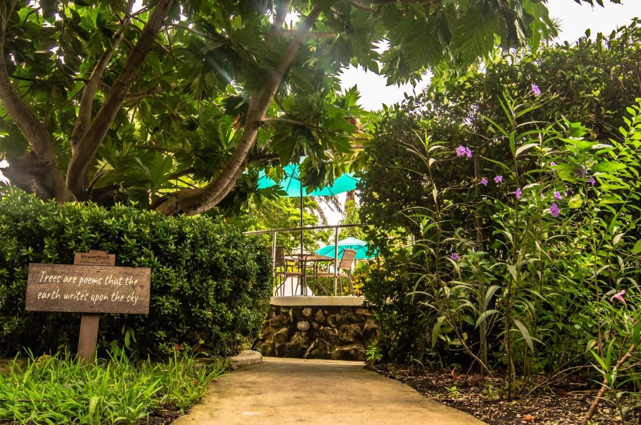 Harbour View Boutique Hotel & Yoga Retreat Belize City Eksteriør billede